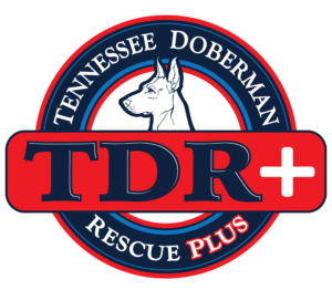 Tennessee Doberman Rescue Plus